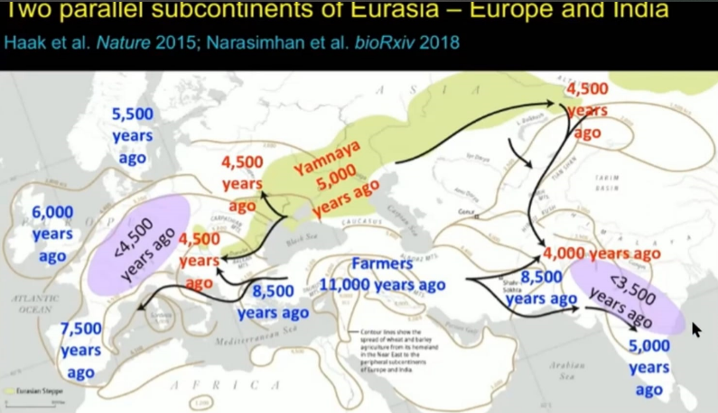 A map with different colored arrows

Description automatically generated