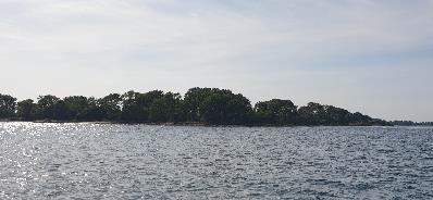 A body of water with trees in the background

Description automatically generated