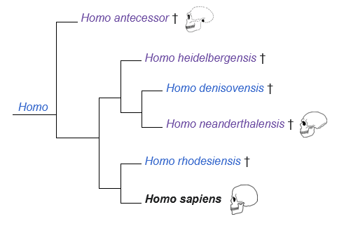 A diagram of a structure
Description automatically generated