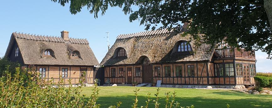 A house with a tree in the background

Description automatically generated
