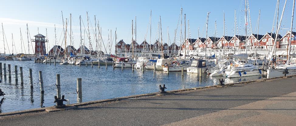 A marina with many boats

Description automatically generated