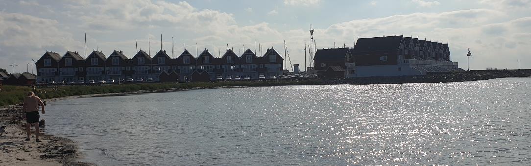 A surfboard on the beach

Description automatically generated